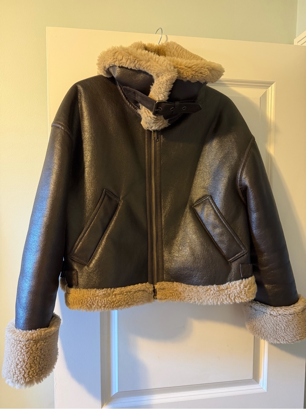 Zara Shearling Jacket